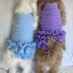 two small dogs wearing sweaters sitting on a couch