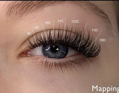 Lash Extension Map, Lashes Tips, Eyelash Extensions Classic, Lash Maps, Lash Supplies, Lash Styles