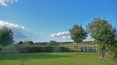 an open field with trees and a fence