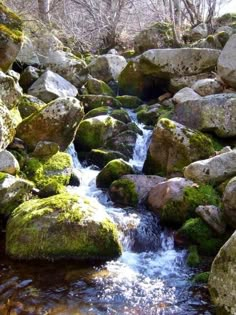 a stream running between large rocks covered in green moss