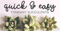 three succulents with the words quick & easy fondant succulents