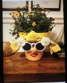 a potted plant with sun glasses on top of it