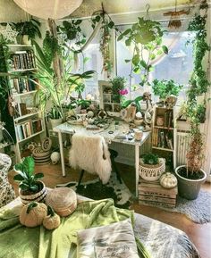 a room filled with lots of potted plants and books on top of a table