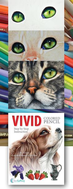 there are many different colored pencils in front of the cat's face and dog's eyes