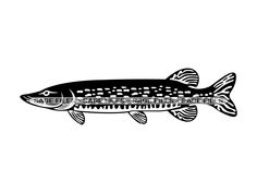 a fish that is black and white with dots on it's body, in the shape