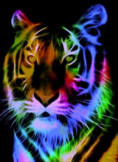 a close up of a colorful tiger on a black background