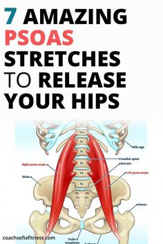 the 7 amazing psoas stretches to release your hips and lower back muscles,