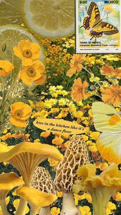 a bunch of yellow flowers and mushrooms with a butterfly on top of them, in front of a lemon slice