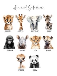 an animal selection is shown with different types of animals in each one's face