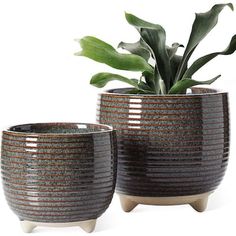 two ceramic planters sitting next to each other