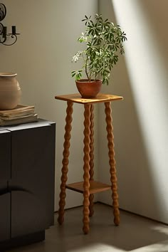 a potted plant sitting on top of a wooden table