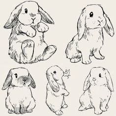 four rabbits sitting and standing in different positions, one is holding the other's hand