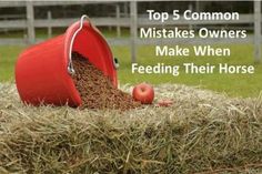 a red bucket filled with food sitting on top of a pile of hay