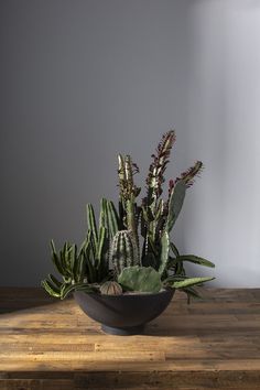 a potted plant sitting on top of a wooden table