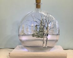 a snow globe with trees in it sitting on top of a book