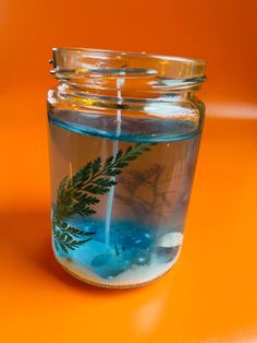 a glass jar filled with blue liquid and green plants on top of an orange table