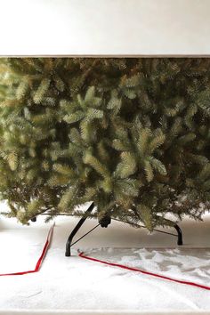 National Tree Company Artificial Full Christmas Tree, Green, Dunhill Fir, Includes Stand, 12 Feet