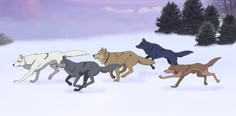 a group of dogs running in the snow with trees in the backgroung