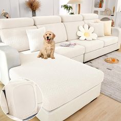 a dog sitting on top of a white couch in a living room next to a rug