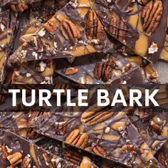 chocolate bark with nuts and pecans on top that says turtle bark in front of it