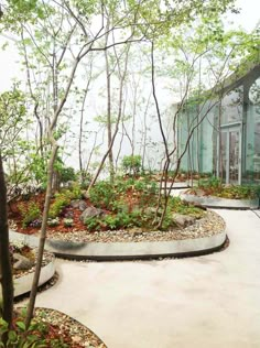 an outdoor garden with trees, rocks and plants on the ground in front of a glass building