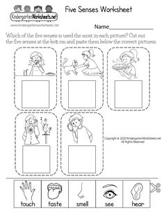 the five senses worksheet for children to learn how to read and understand them