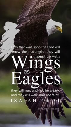 an eagle flying with the words wings as eagles