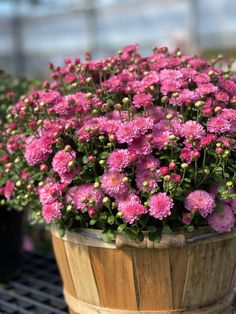 pink flowers in a wooden bucket on a table