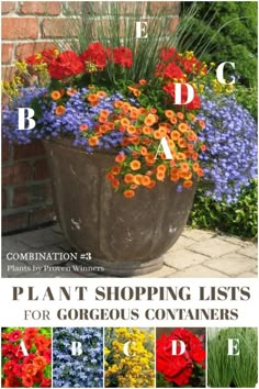 a planter filled with lots of colorful flowers next to a brick wall and the words plant shopping lists for gorgeous containers