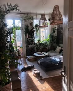 a living room filled with lots of plants and furniture