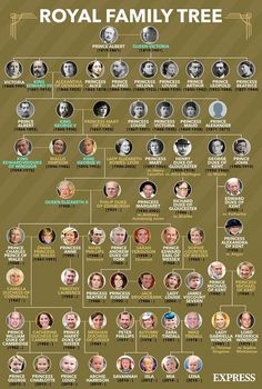 the royal family tree is shown in this image