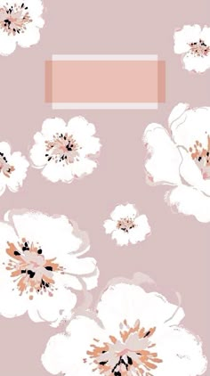 an image of white flowers on a pink background with a rectangle in the middle