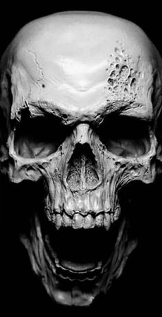 a black and white photo of a human skull