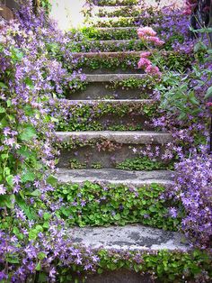 stairs covered in purple flowers and greenery