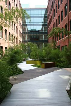 an empty walkway between two buildings with trees in the foreground and bushes on either side