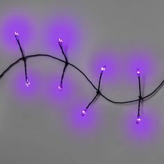 some purple lights are hanging from a wire on a gray wall with no one in it