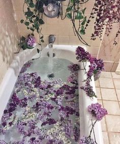 a bathtub filled with purple flowers next to a tiled wall