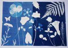 an image of blue and white flowers with leaves on the left, and another photo of plants on the right