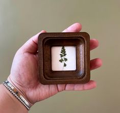 a hand holding a small wooden box with a plant in it's center,