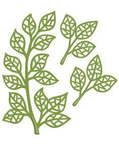 three green leaves on a white background, one is cut out and the other is drawn