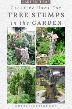 garden ideas for tree stumps in the garden