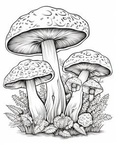 three mushrooms in the grass with leaves and plants around them, black and white drawing