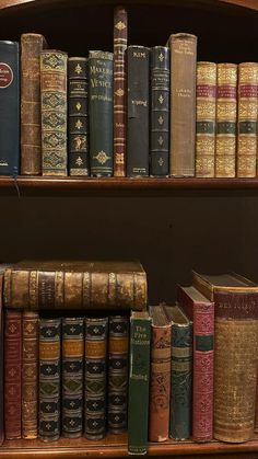 several books are on the shelves in a library, all lined up and ready to be read