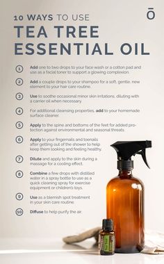 Tea Tree is a little-known superhero among essential oils! Here are 10 ways to use it. Which have you tried so far? Doterra Tea Tree Oil, Melaleuca Essential Oil, Tea Tree Oil Uses, Holistic Products, Diy Essential Oil Recipes, Essential Oils Blends, Doterra Essential Oils Recipes, Essential Oil Diffuser Blends Recipes