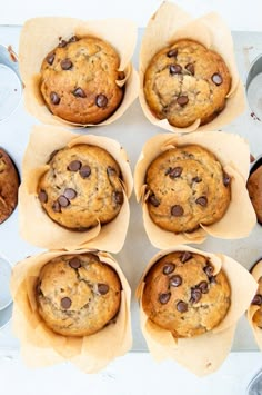 twelve chocolate chip muffins in paper cups