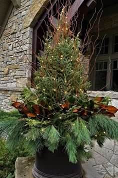 a potted christmas tree in front of a house