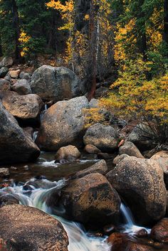 a stream running through a forest filled with lots of rocks covered in fall colored leaves