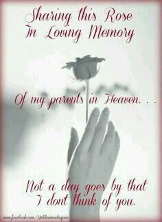 a hand holding a flower with the words sharing this rose in loving memory