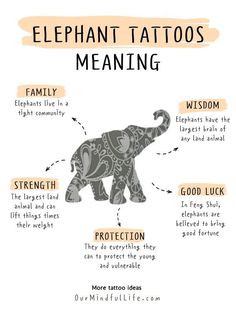 57 Unique Elephant Tattoos With Meaning - Our Mindful Life Meaning Of Elephant Tattoo, Elephant Symbolism Meaning, Elephant Tattoos Meaning, Unique Elephant Tattoos, Mean Elephant Tattoo, What Does An Elephant Symbolize, Tattoos Meaning Family, Elephant Strength Tattoo