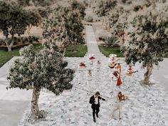 a bride and groom walking down the aisle to their wedding ceremony in an apple orchard